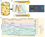 Using probability distribution function as a scaling approach to incorporate soil heterogeneity into biogeochemical models for greenhouse gas predictions