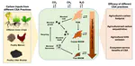 Measuring & modeling agricultural carbon sequestration through a microbial lens