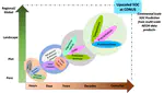 Upscaling soil organic carbon measurements at the continental scale by understanding emergent ecosystem properties and spatial representativeness analysis