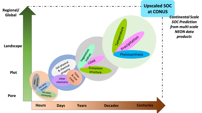 Upscaling soil organic carbon measurements at the continental scale by understanding emergent ecosystem properties and spatial representativeness analysis