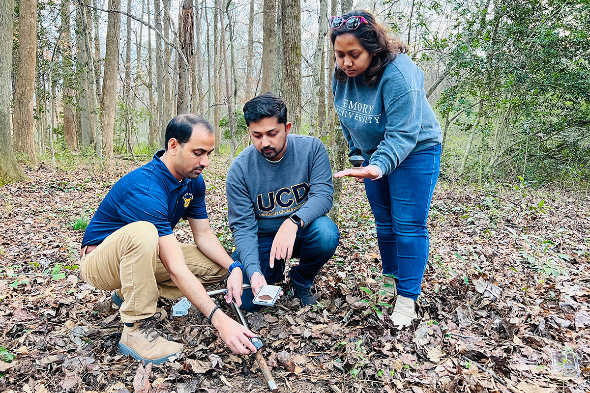 Paint colormatcher quantifies iron levels in soil Sihi