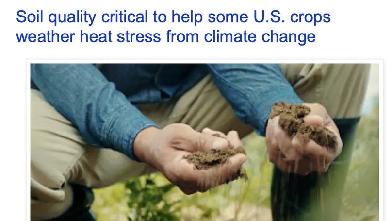 Soil quality critical to help some U.S. crops weather heat stress from climate change
